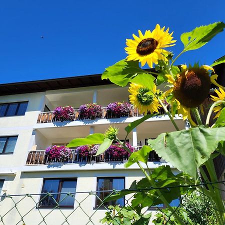 Gaestehaus Herma Рамзау ам Дахщайн Екстериор снимка