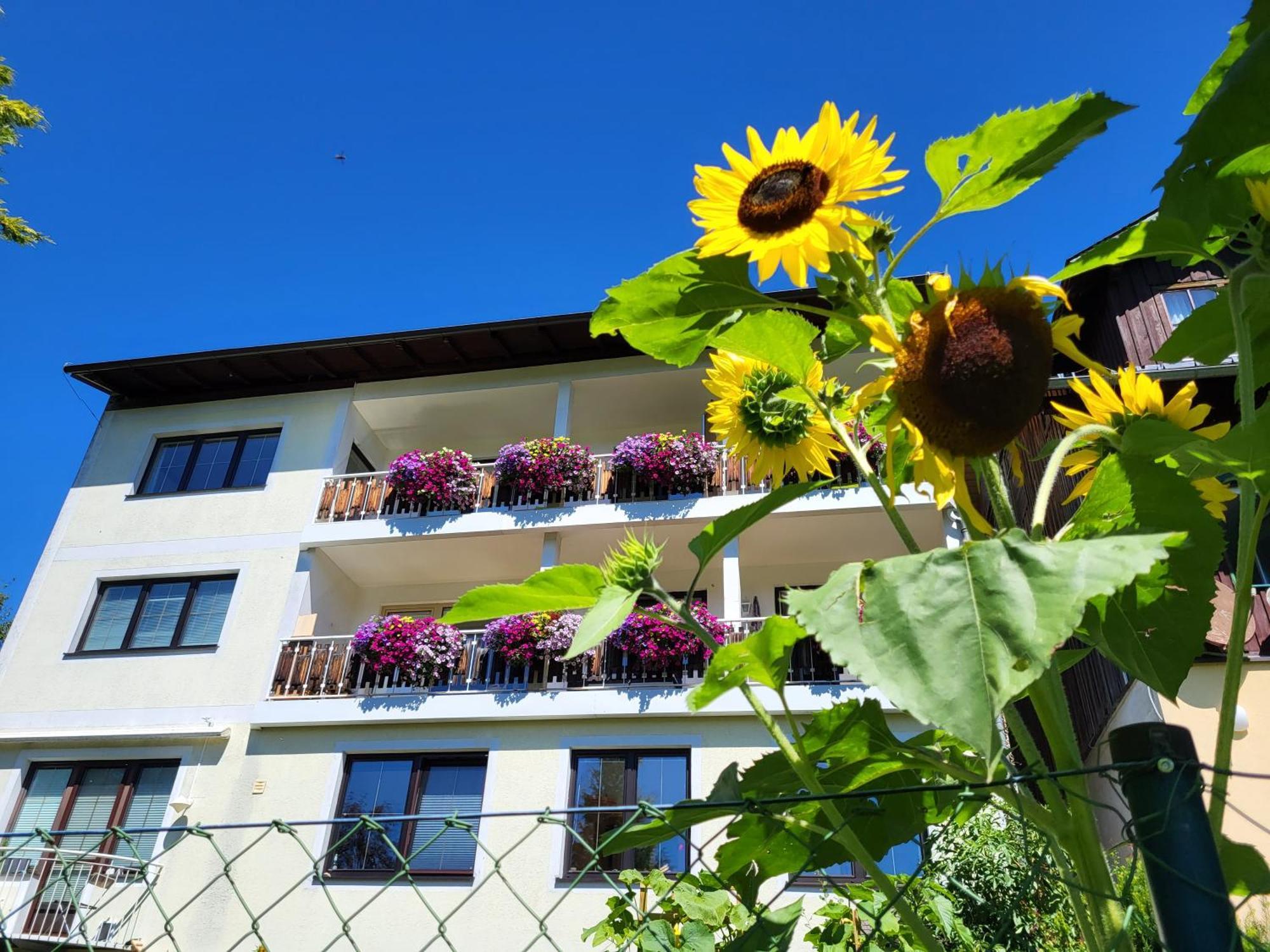 Gaestehaus Herma Рамзау ам Дахщайн Екстериор снимка